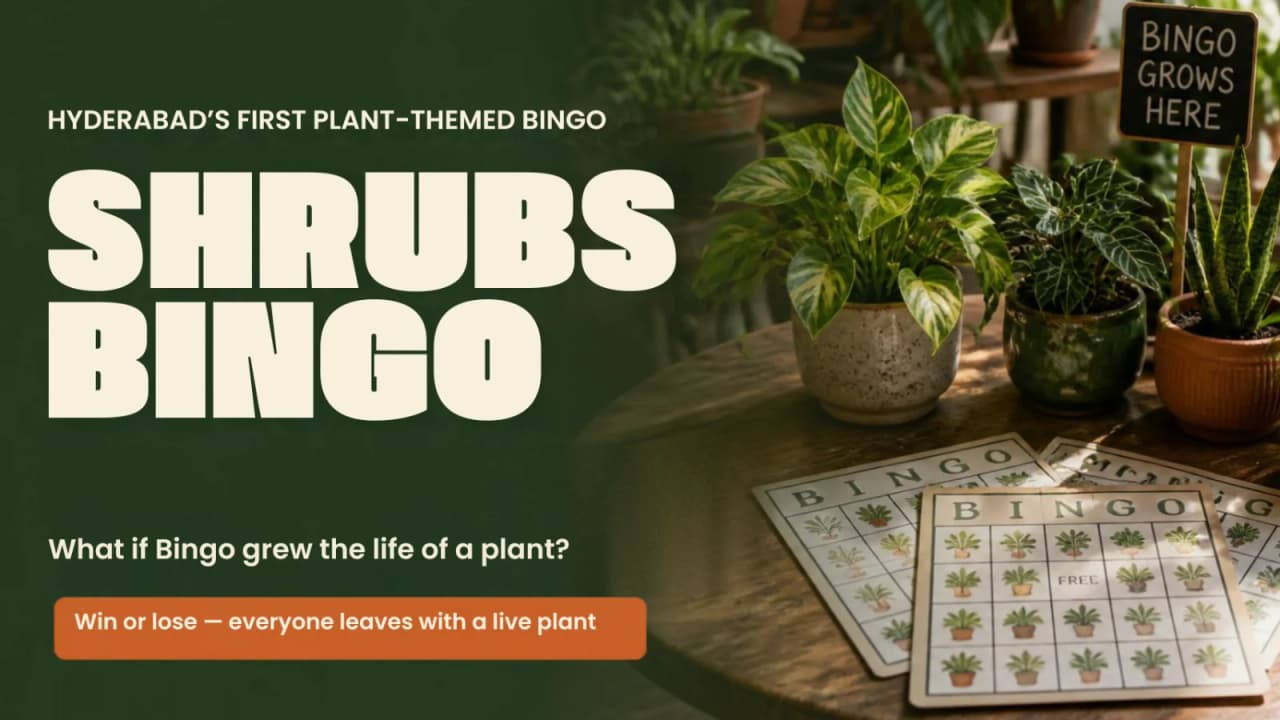 Shrubs Bingo experience poster